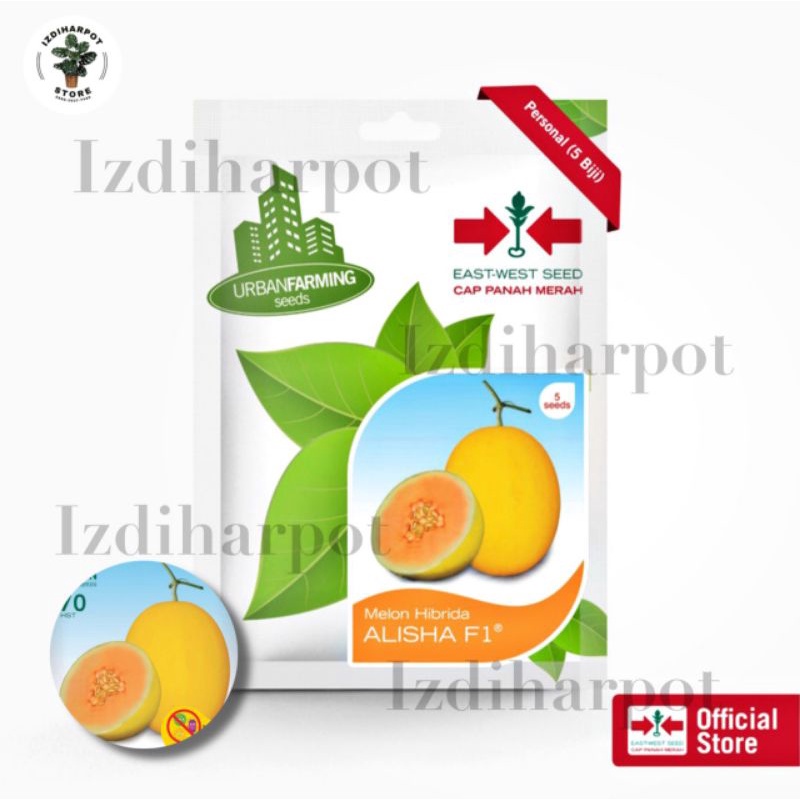 benih bibit melon hibrida alisha f1 cap panah merah - MELON ALISHA F1