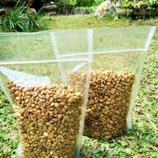 Jual Biji Kopi Liberika Green Bean Liberica Shopee Indonesia