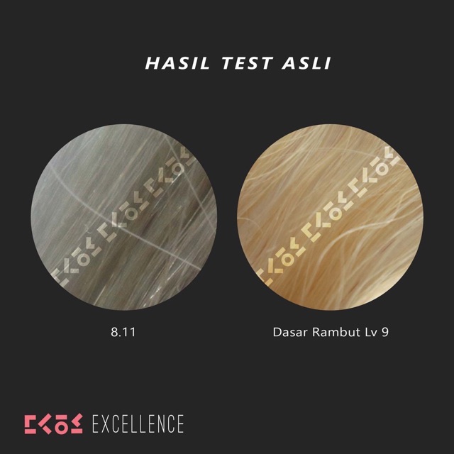 Excellence 8.11 ash brown ash grey Hair color LEBGSI SILVER GRAY / ash grey color