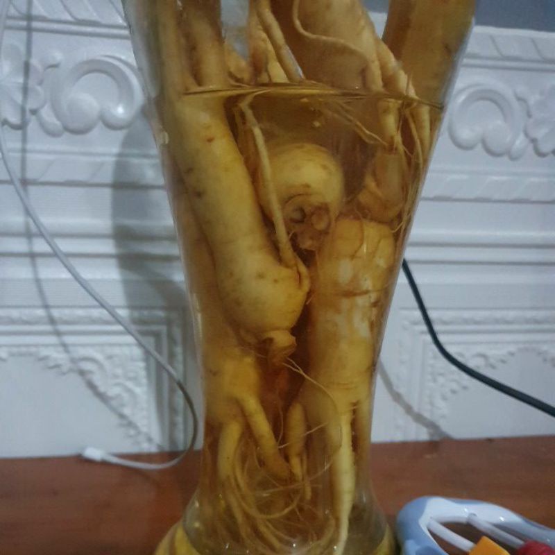 Ginseng Korea asli 100% kemasan botol isi 3