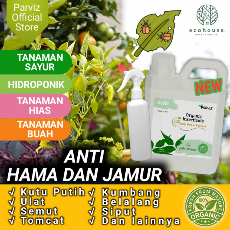Insektisida,Insektisida Organik,Pestisida Organik,Hama Serangga,Hama Tanaman,Obat Kutu Tanaman