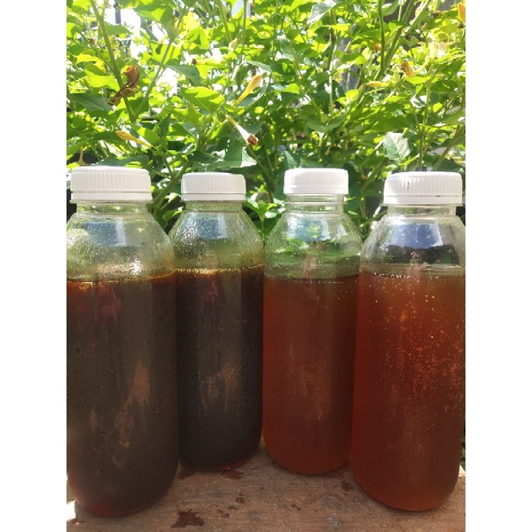 

madu sialang murni