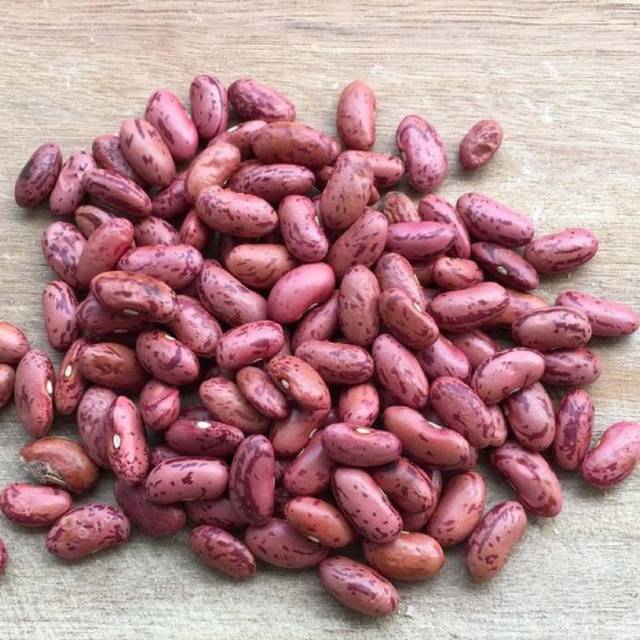 

Kacang Jogo / Kacang Merah Organik 200 gr