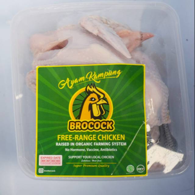 

Brocock AYAM KAMPUNG ORGANIK