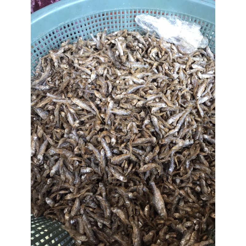 

Ikan bilih asli danau singkarak ikan Bilih sumbar ikan bilih ikan bilih goreng asli Ikan Bilis