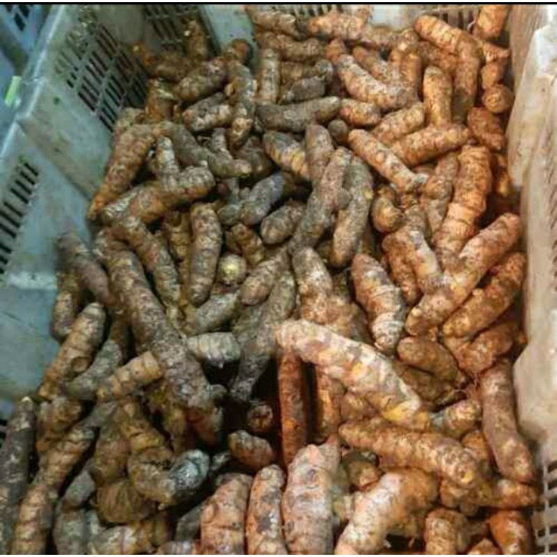 

500Grm Kunyit Segar Bahan Rempah