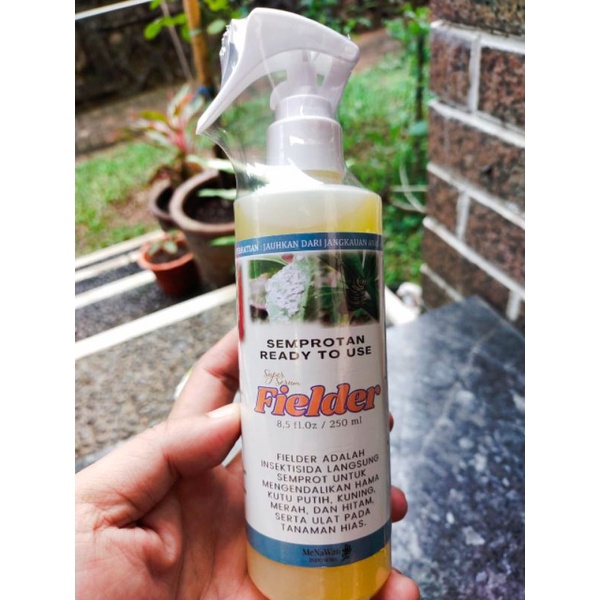 Fielder obat hama ulat, Kutu Putih Tanaman Hias | Cabuk | Fielder 250ml