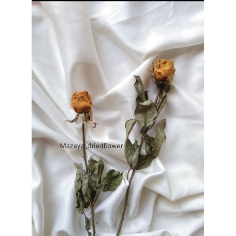 bunga mawar Kering / dried flower rose / bunga kering