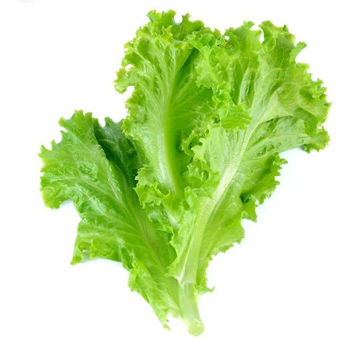 

Selada Air selada Lalap segar surga kebutuhan ku fresh lettuce salad vegetables water salad