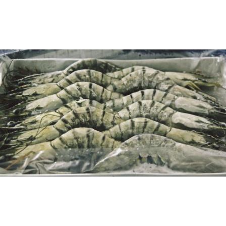 

FRESH - BLACK TIGER SHRIMP / UDANG SEGAR / UDANG WINDU / UDANG LORENG KUALITAS SUPER