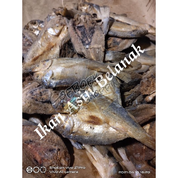 

Ikan Asin Belanak Belah