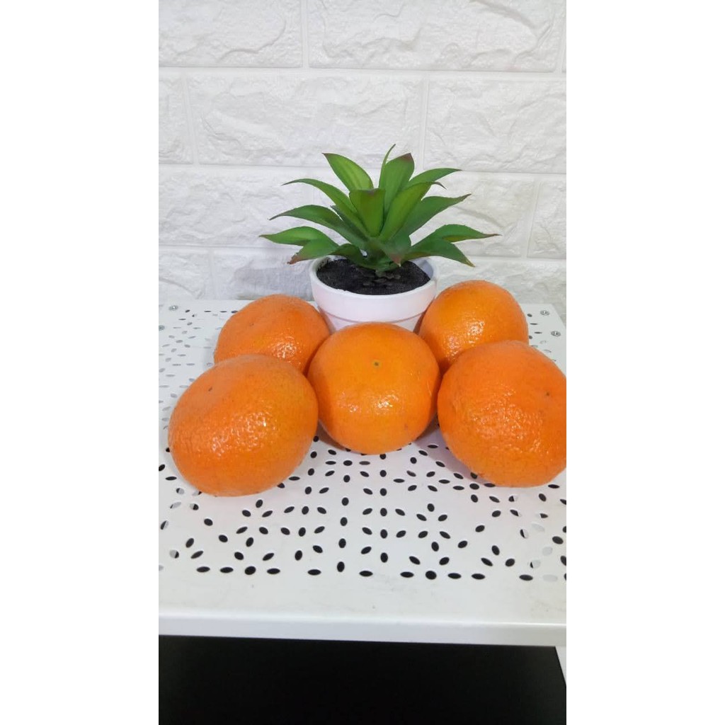

JERUK MANDARIN JUMBO FRUITIO JAKARTA 4 butir