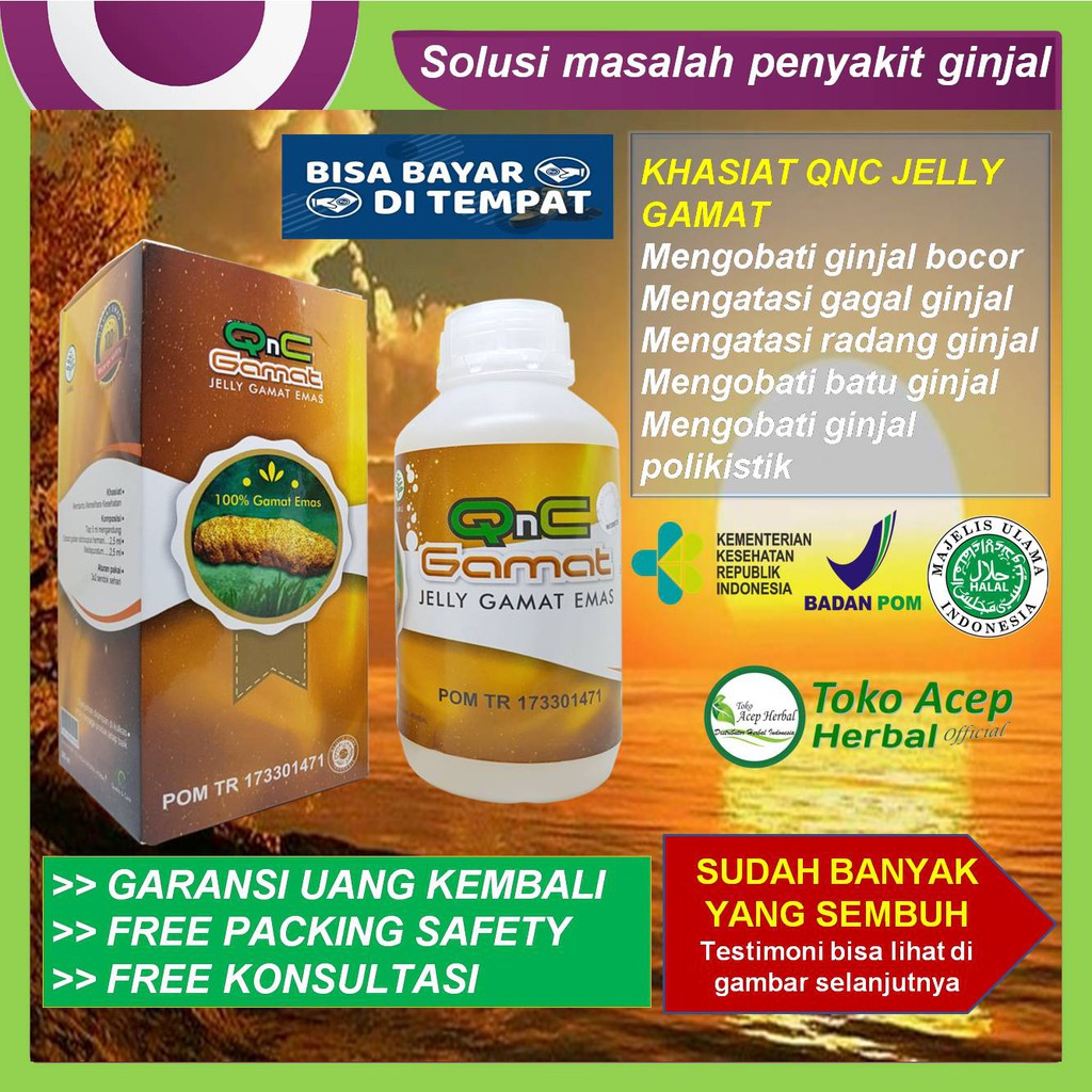 Obat Ginjal Bocor Obat Gagal Ginjal Obat Radang Ginjal Obat Batu Ginjal Qnc Jelly Gamat Indonesia