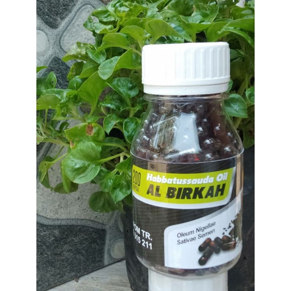 

Kapsul Minyak HABBATUSSAUDA' Al-Birkah || Nigelle Sativa Oil || @500mg