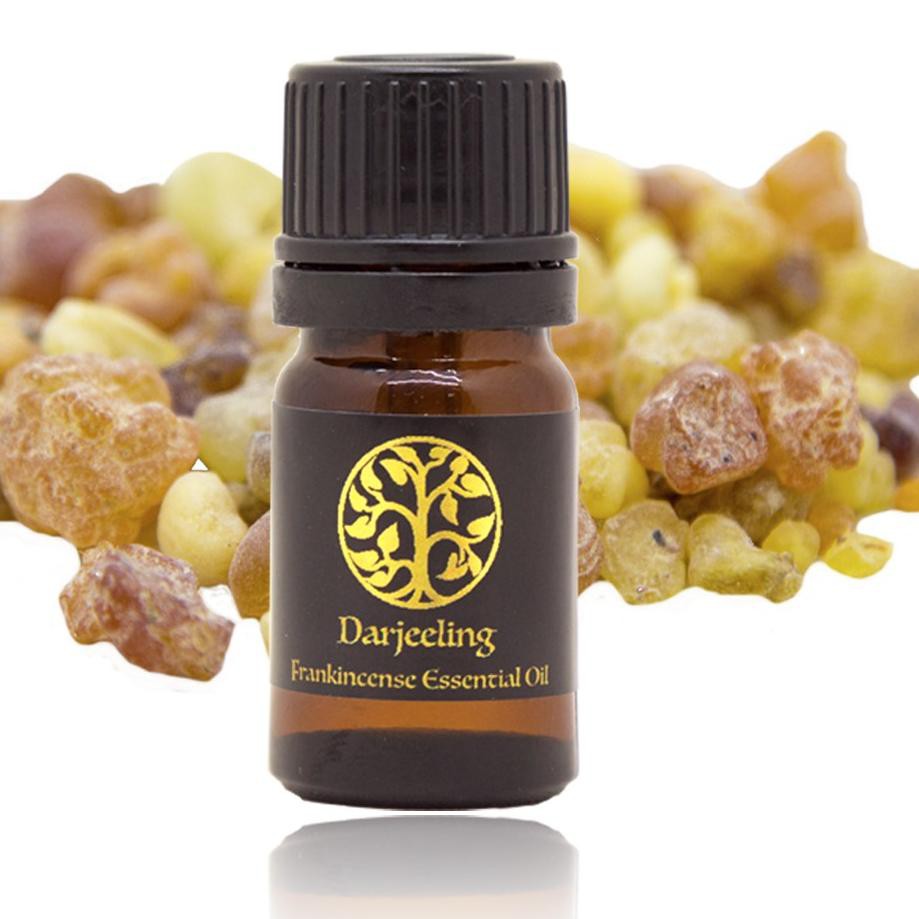 Trend Frankincense Essential Oil Boswellia Serrata Minyak Luban Kemenyan Arab Yi Shopee Indonesia