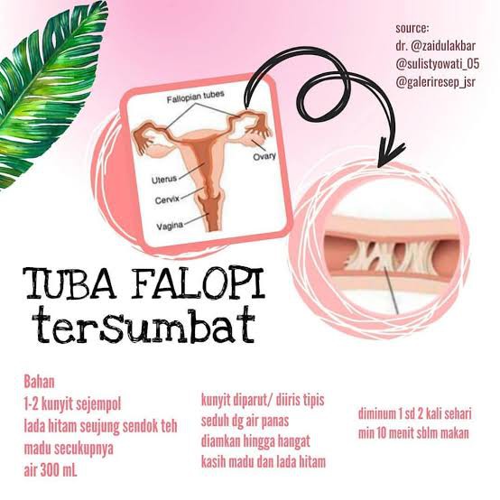 Lada Hitam Anik Lada Program Hamil Herbal Masalah Rahim Indonesia