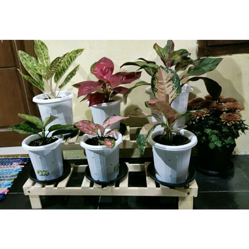 RAK POT BUNGA SEDERHANA / RAK SUSUN / RAK TINGKAT