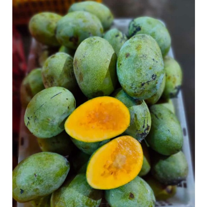 

mangga manalagi