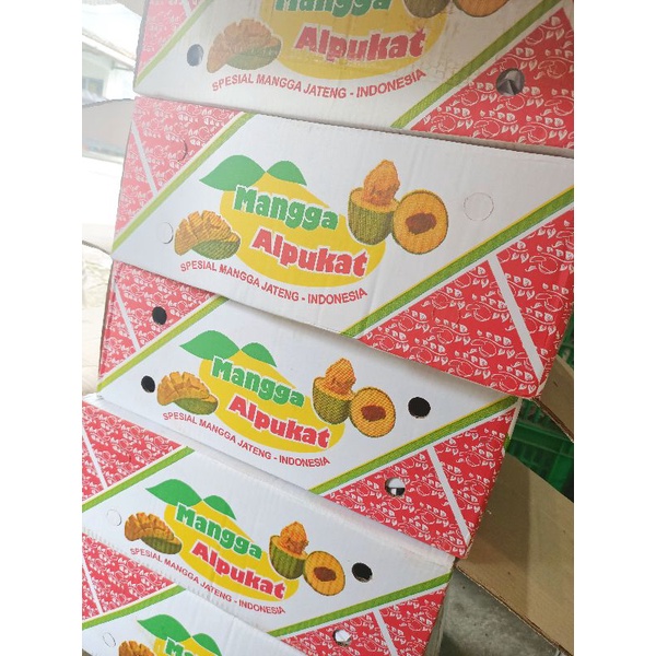 

MANGGA HARUM MANIS MATANG POHON MANGGA ALPUKAT