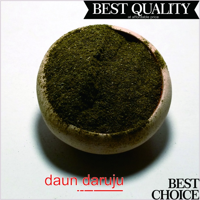 

Daun Daruju Bubuk 100 Gram - Jeruju Serbuk | Acanthus ilicifolius | Acanthus Sea holly - Jaruju Powder