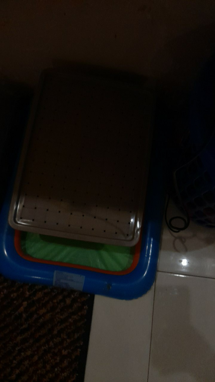 Keranjang Hawaii L + Tutup