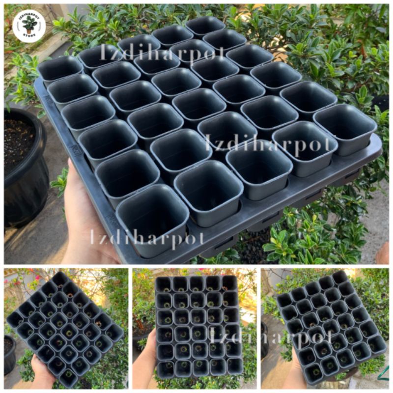 1 SET TRAY LUBANG 30 + POT NKT KOTAK 5CM HITAM 30 PCS | TRAY SEMAI BIBIT