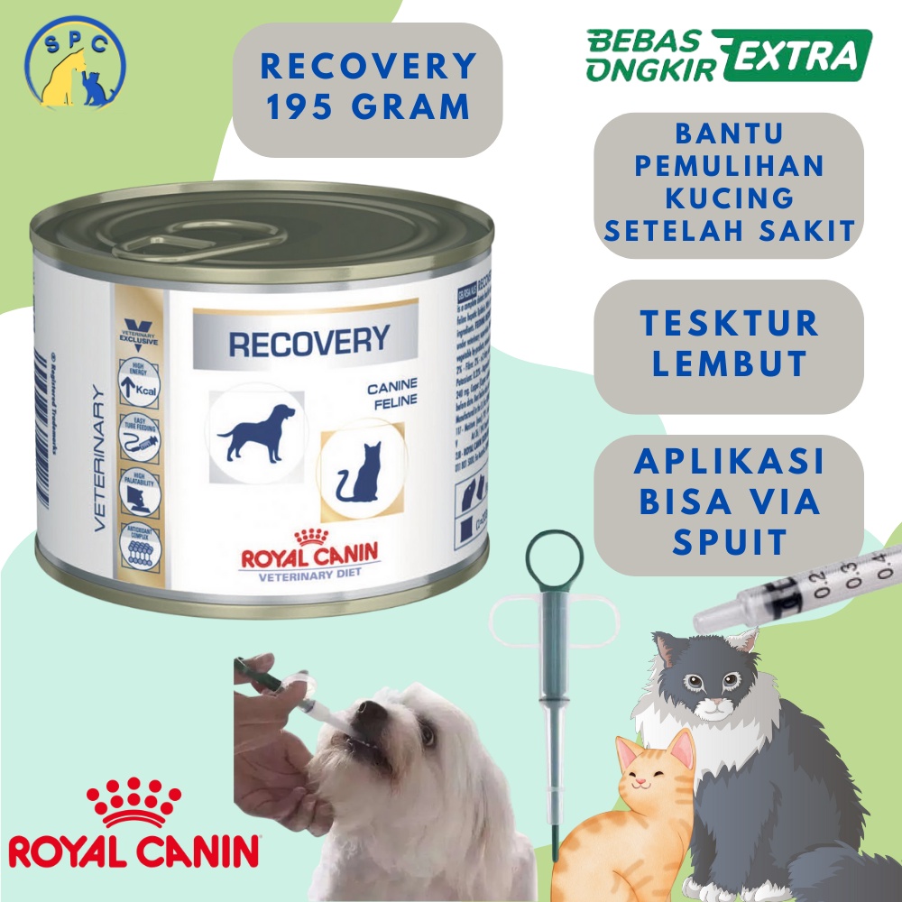 Royal Canin Recovery RC Recovery Makanan Basah Wet Food proses penyembuhan