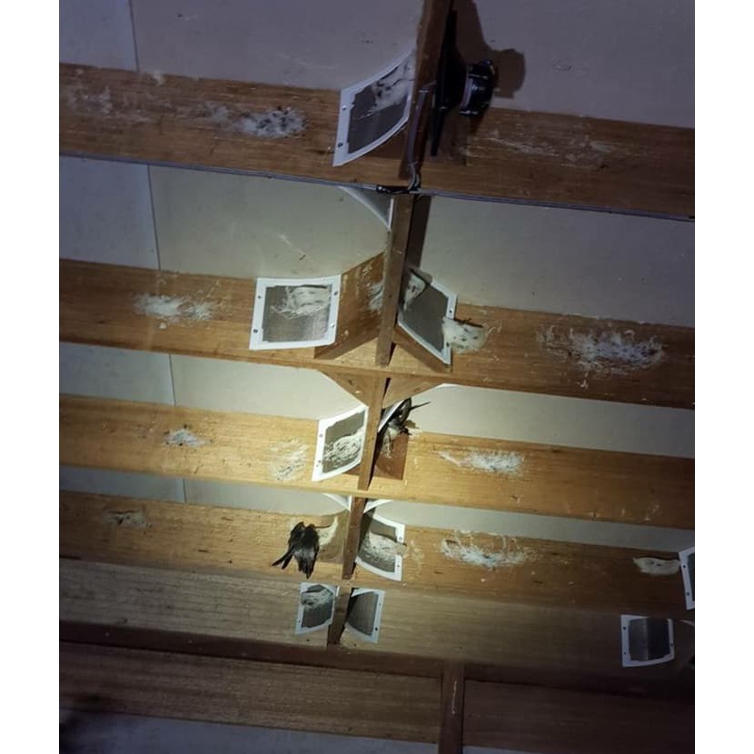 Papan Sudut Walet Stainless / sarang walet imitasi / sarang walet palsu / sarang walet pancingan / s