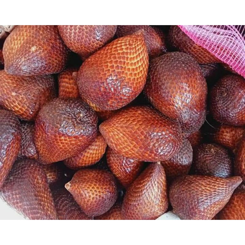 

salak pondoh /1 kg