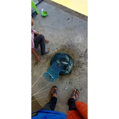 umpan jitu ikan mas ( umpan ane )