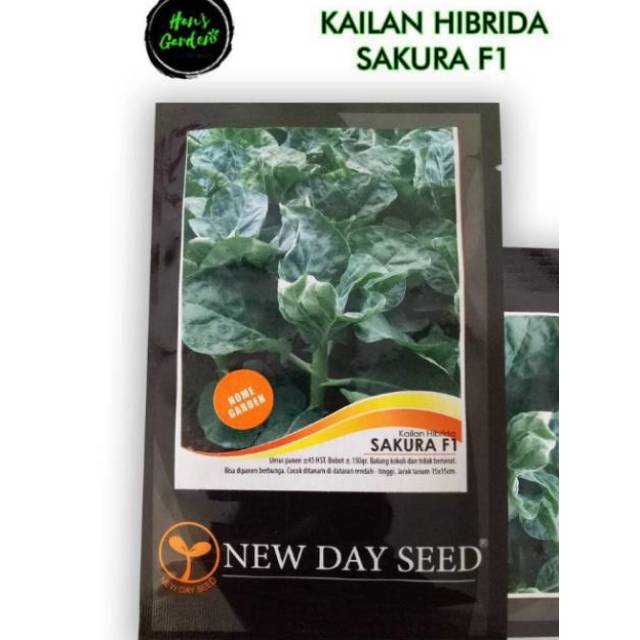 Jual Bibit  benih kailan sakura New day seed Limited