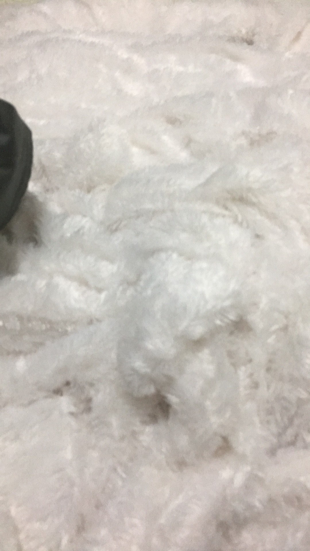 Sprei Bulu Rasfur Sprei Bulu Putih Sprei Pengantin Sprei Dekorasi