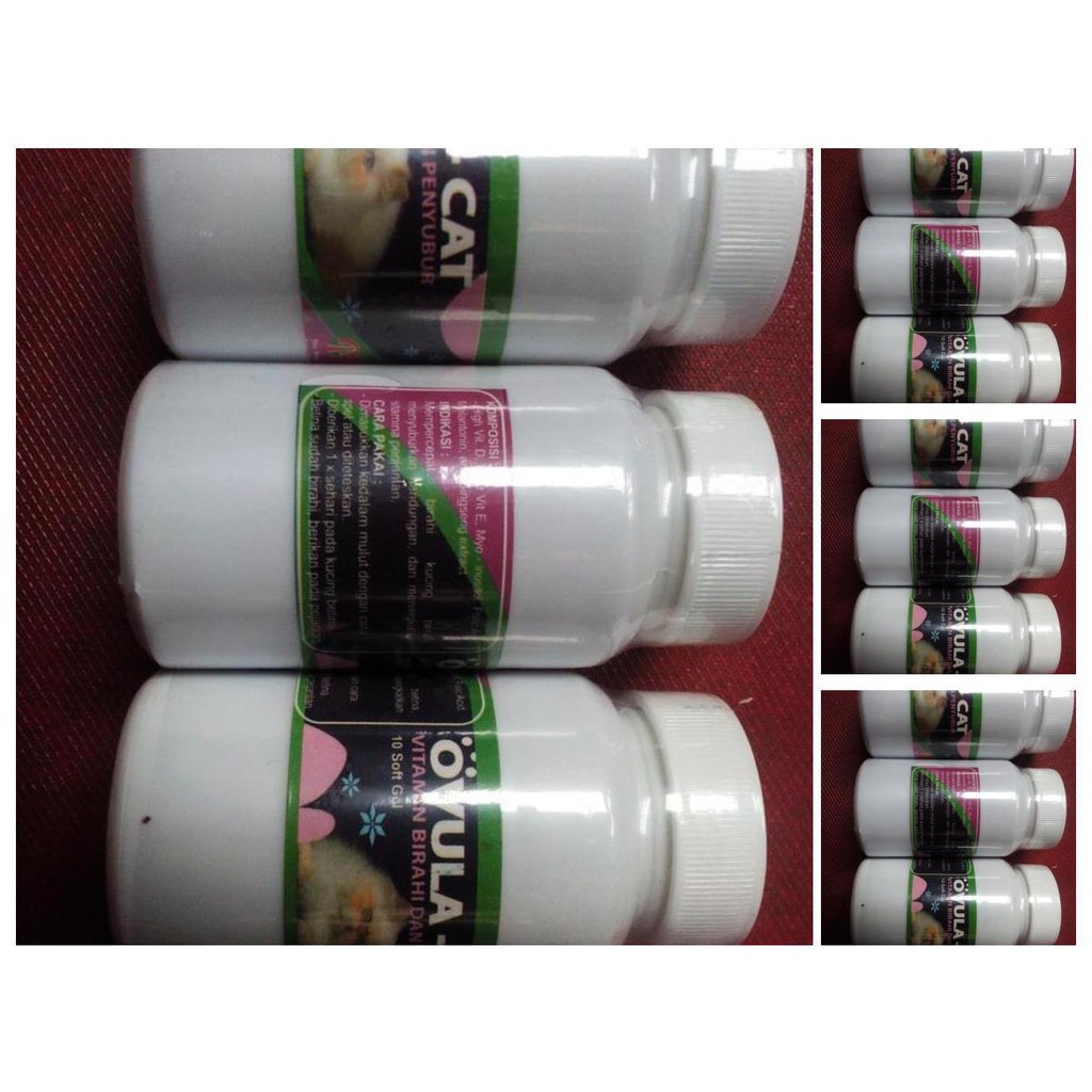 obat birahi kucing   ovula cat