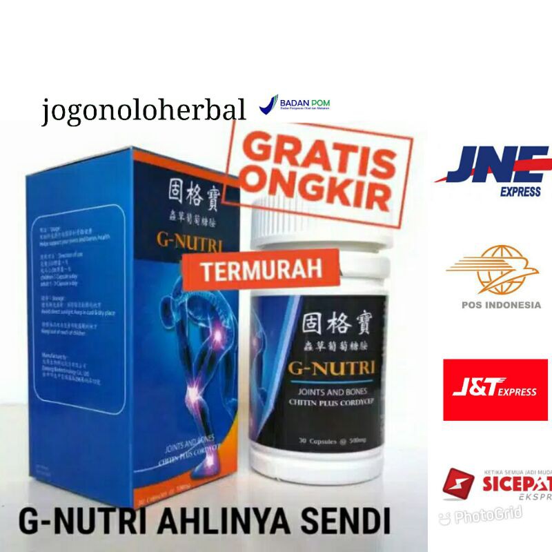 G-NUTRI GLUCOSAMINE OBAT HERBAL PERSENDIAN