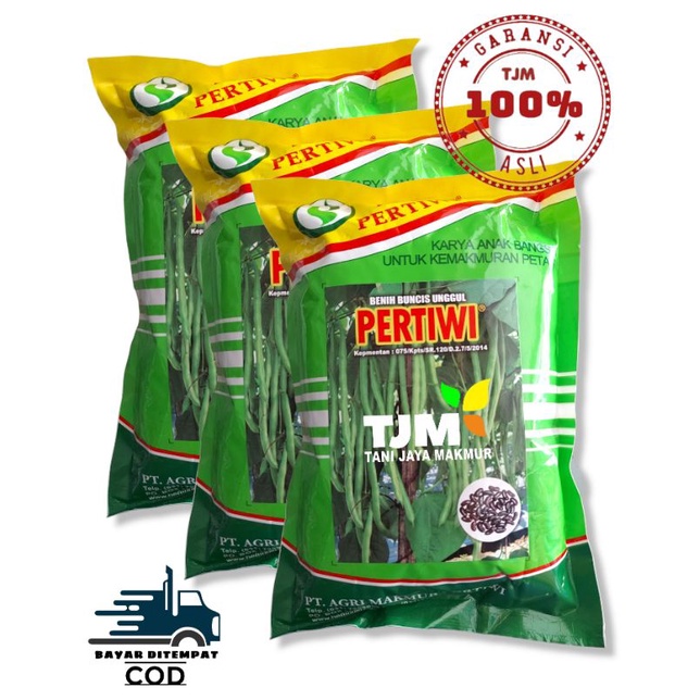 Benih Buncis pertiwi / Bibit Buncis Pertiwi 500g / benih buncis unggul/Rasa agak manis/Benih / Bibit