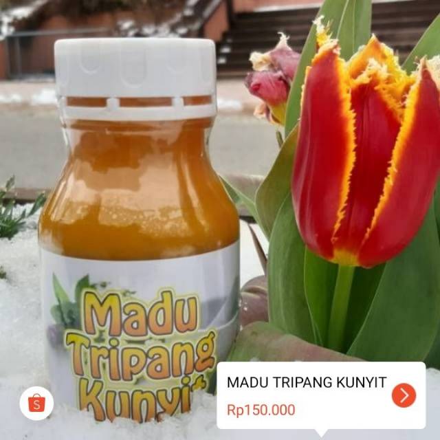OBAT MAAG KRONIS-GERD-PALING AMPUH DAN TERLARIS
