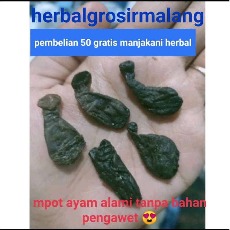 

MPOT AYAM UTUH HITAM/PUTIH 100% ORIGINAL TANPA BAHAN PENGAWET