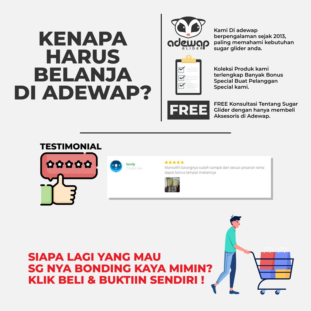 ADEWAP GLIDER Fruity Snack Sugar Glider Buah Kering Cemilan Sugar Glider