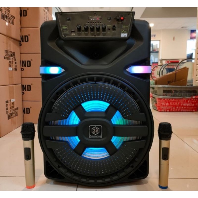 AKTIF SPEAKER 2 MIC WIRELESS 3R
