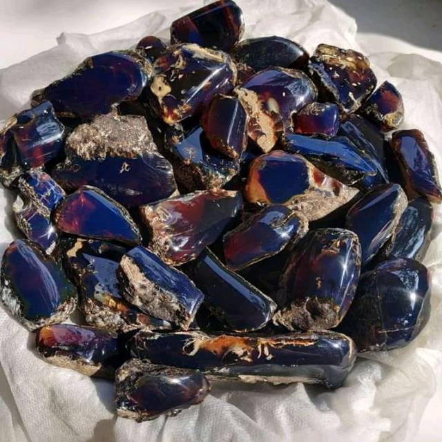 Fosil getah Katilayu Asli 100%