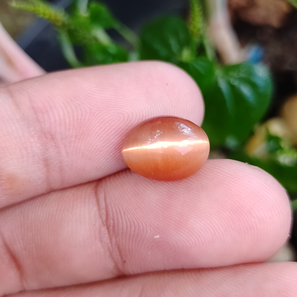 batu cat eye orange kuning tali tajam super bkn cincin kalung liontin wanita opal akik perhiasan