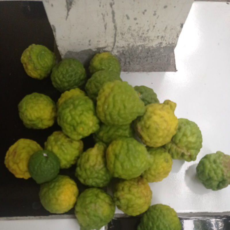 Jual jeruk purut | Shopee Indonesia