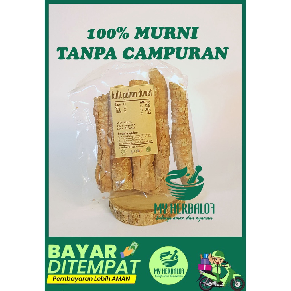 

Kulit Pohon Duwet Kering / Syzygium Cumini / Murni - Jsr - Rempah - Premium Quality