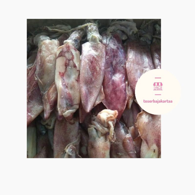 

Cumi Lontar Kualitas Super/ Cumi Telur 500gr