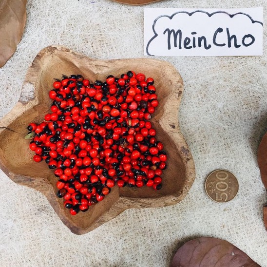 (100gr/600biji) Kolase Biji Saga Merah Hitam Biji Saga Rambat Biji Saga Telik Biji Saga bintik Hitam