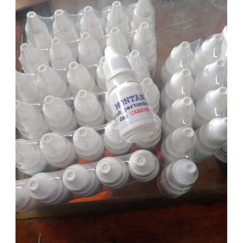 montan penumbuh Keiki bunga dan tunas anggrek