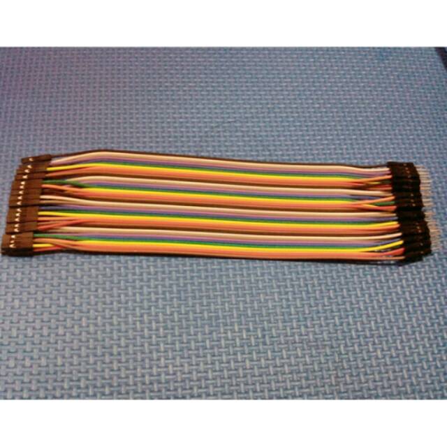 Jual Male To Female Dupont Wire Cable Kabel Jumper Arduino Indonesia