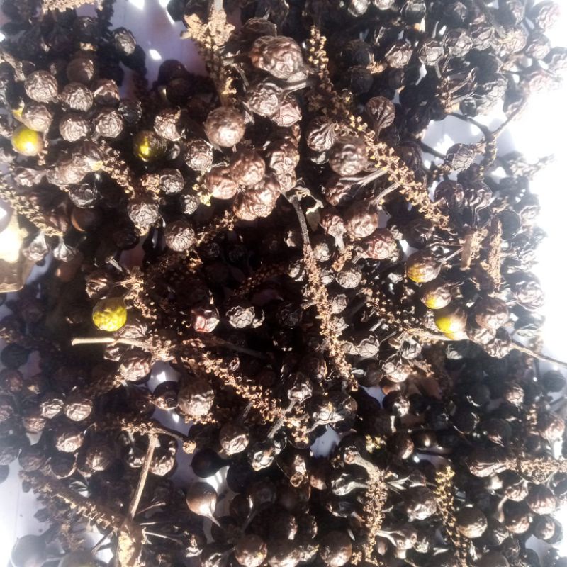 

BIJI KEMUKUS KERING 50gram