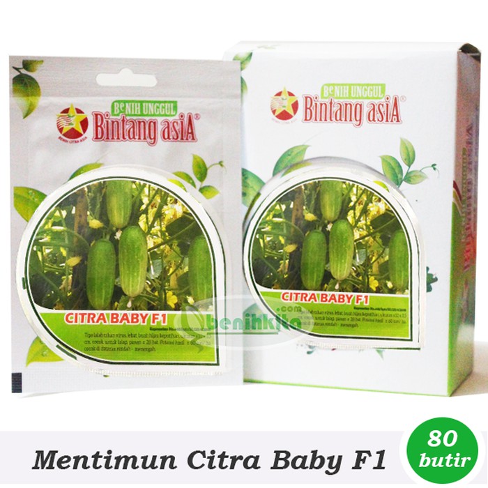 Jual Benih Bibit Timun Lalap Citra Baby F Bintang Asia Shopee Indonesia