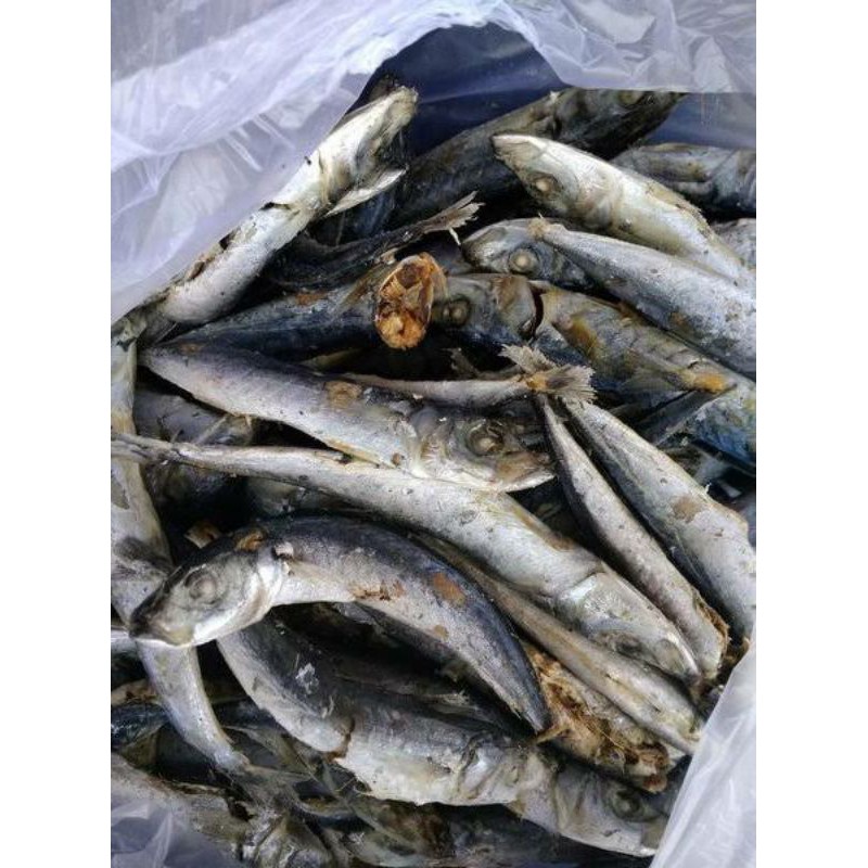 

Ikan Asin Rebusan / Ikan Asin Lampung